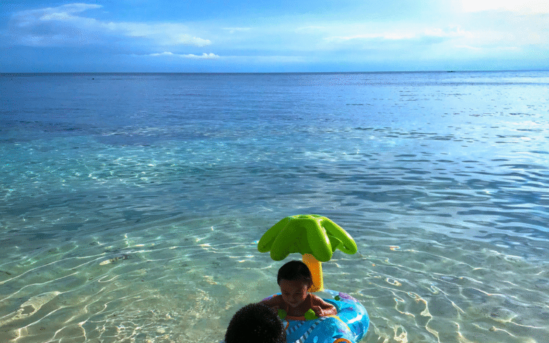 Chapter 1 – Reflections of an Urbanite Defector